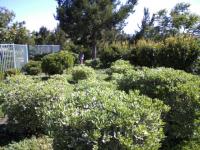 wheres-waldo-may-08.jpg