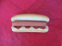 hot-dog-photo-shoot_plain-with-bun.jpg