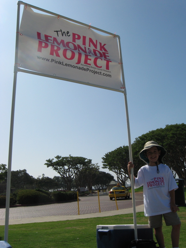 Pink Lemonade Project banner stand Pink Lemonade Project banner stand