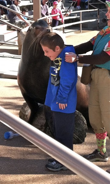 kissed by sea lion